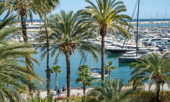 apartment - Gensalg - Alicante - - Centro  -