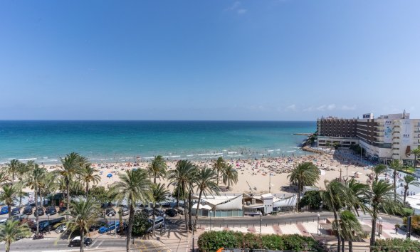 apartment - Gensalg - Alicante - - Centro  -