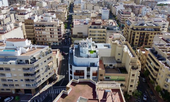 apartment - Gensalg - Torrevieja - Torrevieja