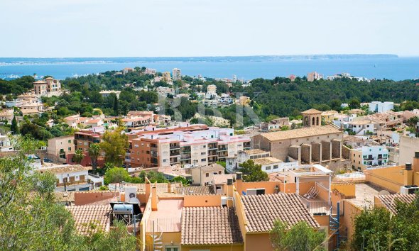 apartment - Reventa - Palma - Gènova