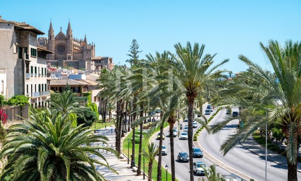 apartment - Reventa - Palma - Santa Catalina