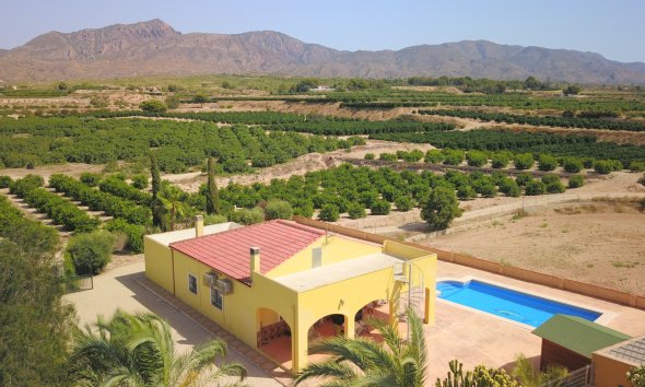 Country House - Gensalg - Albatera - Albatera - Country