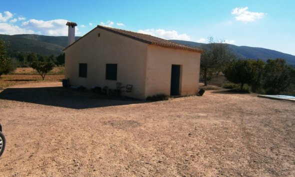 Country House - Gensalg - Ontinyent - Ontinyent