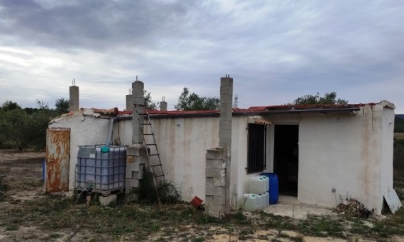 Country House - Gensalg - Ontinyent - Ontinyent