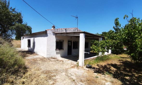 Country House - Gensalg - Ontinyent - Ontinyent