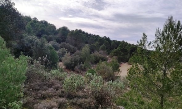 Country House - Resale - Bocairent - Bocairent
