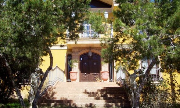 Country House - Resale - Ciudad Quesada - Lo Pepin