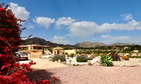Country House - Reventa - Albatera - Albatera
