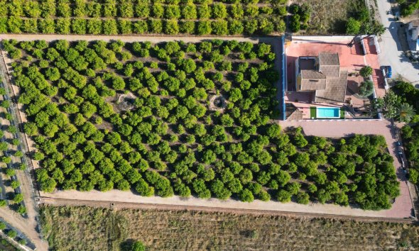 Country House - Reventa - Orihuela - Orihuela