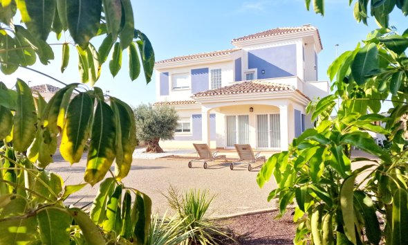 detached - New Build - Purias - Purias