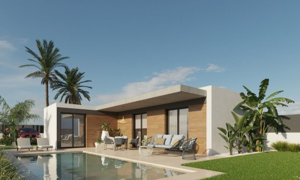detached - Obra nueva - Molina de Segura -
                Molina de Segura