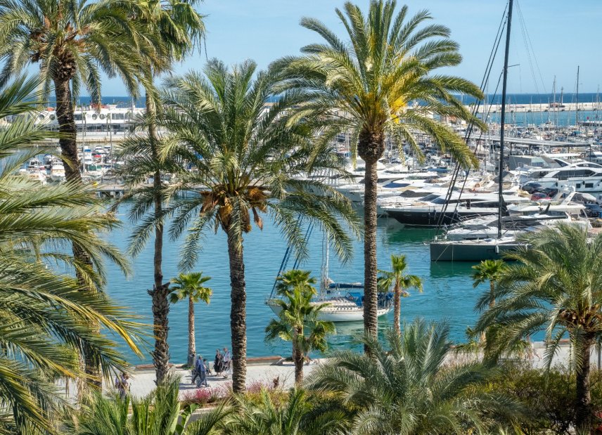 Gensalg - apartment -
Alicante - - Centro  -