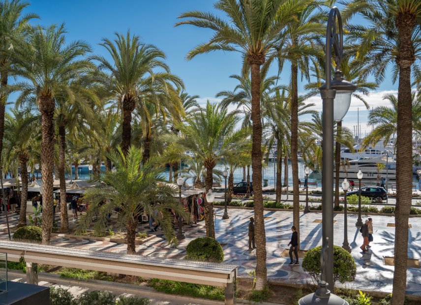 Gensalg - apartment -
Alicante - - Centro  -