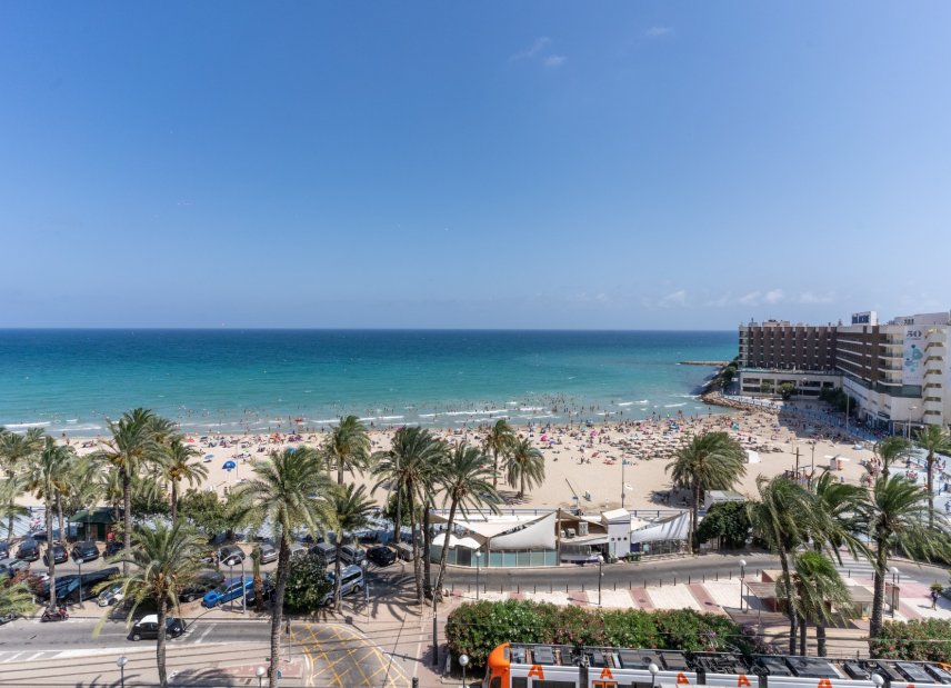 Gensalg - apartment -
Alicante - - Centro  -