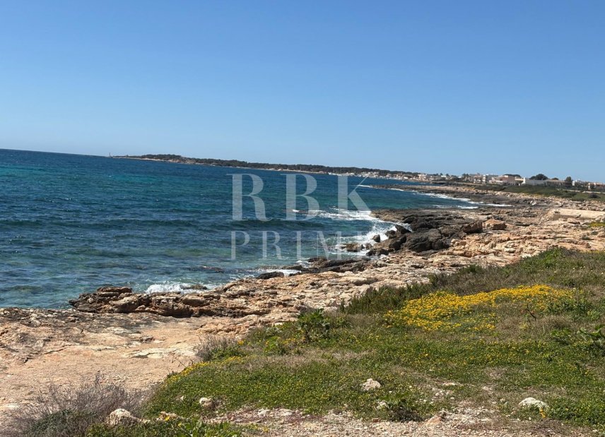 Gensalg - apartment -
Campos - Sa Ràpita