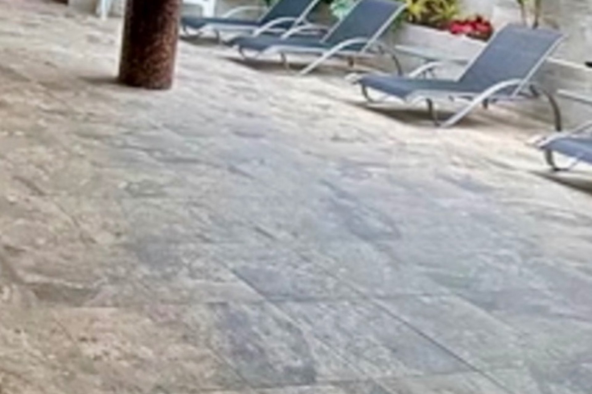 Gensalg - apartment -
Guardamar del Segura - Guardamar - El Raso