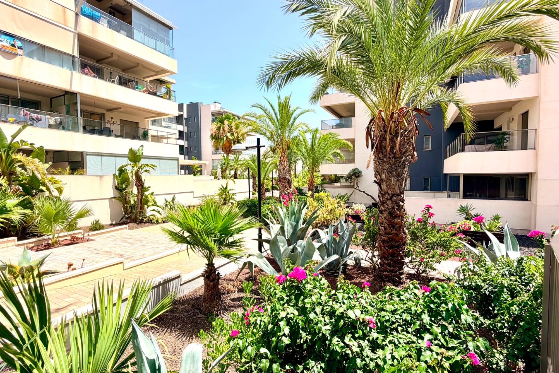 Gensalg - apartment -
Orihuela Costa - La Zenia