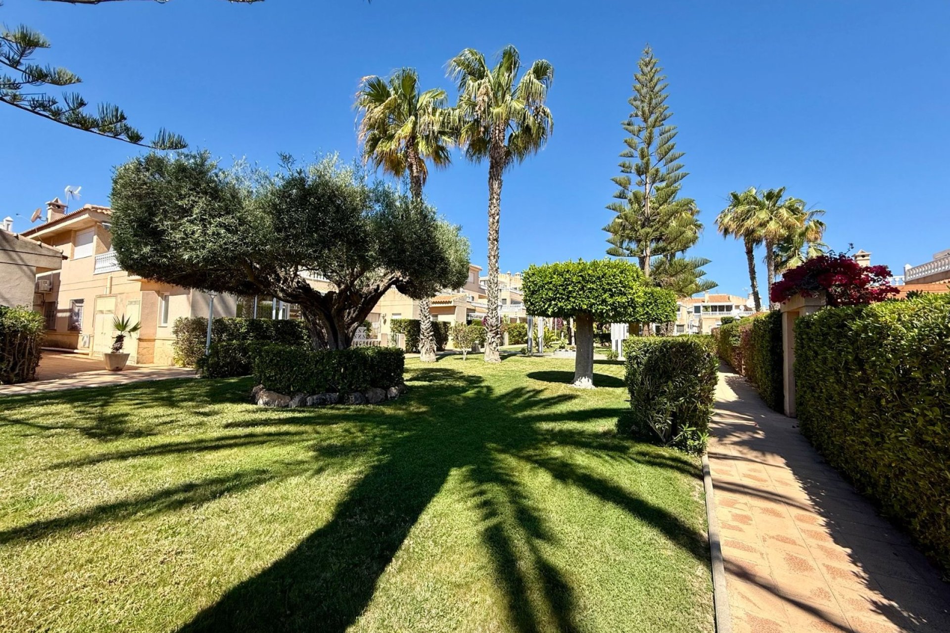 Gensalg - apartment -
Orihuela Costa - Playa Flamenca