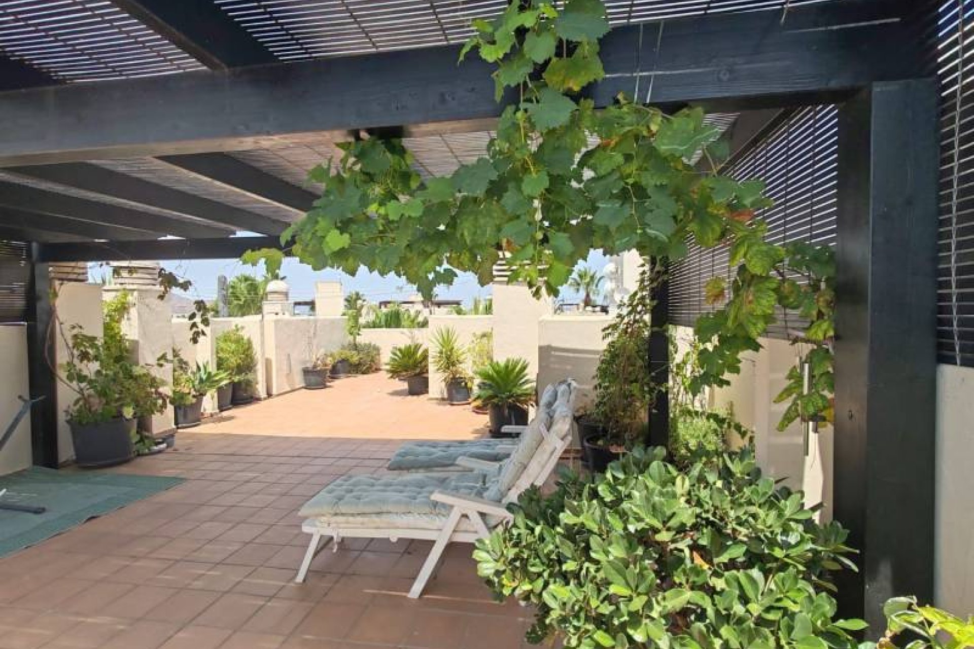 Gensalg - apartment -
San Javier - Roda