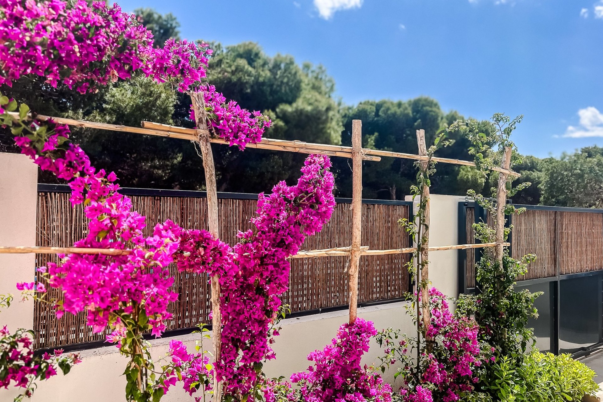 Gensalg - apartment -
San Javier - Santiago de la Ribera
