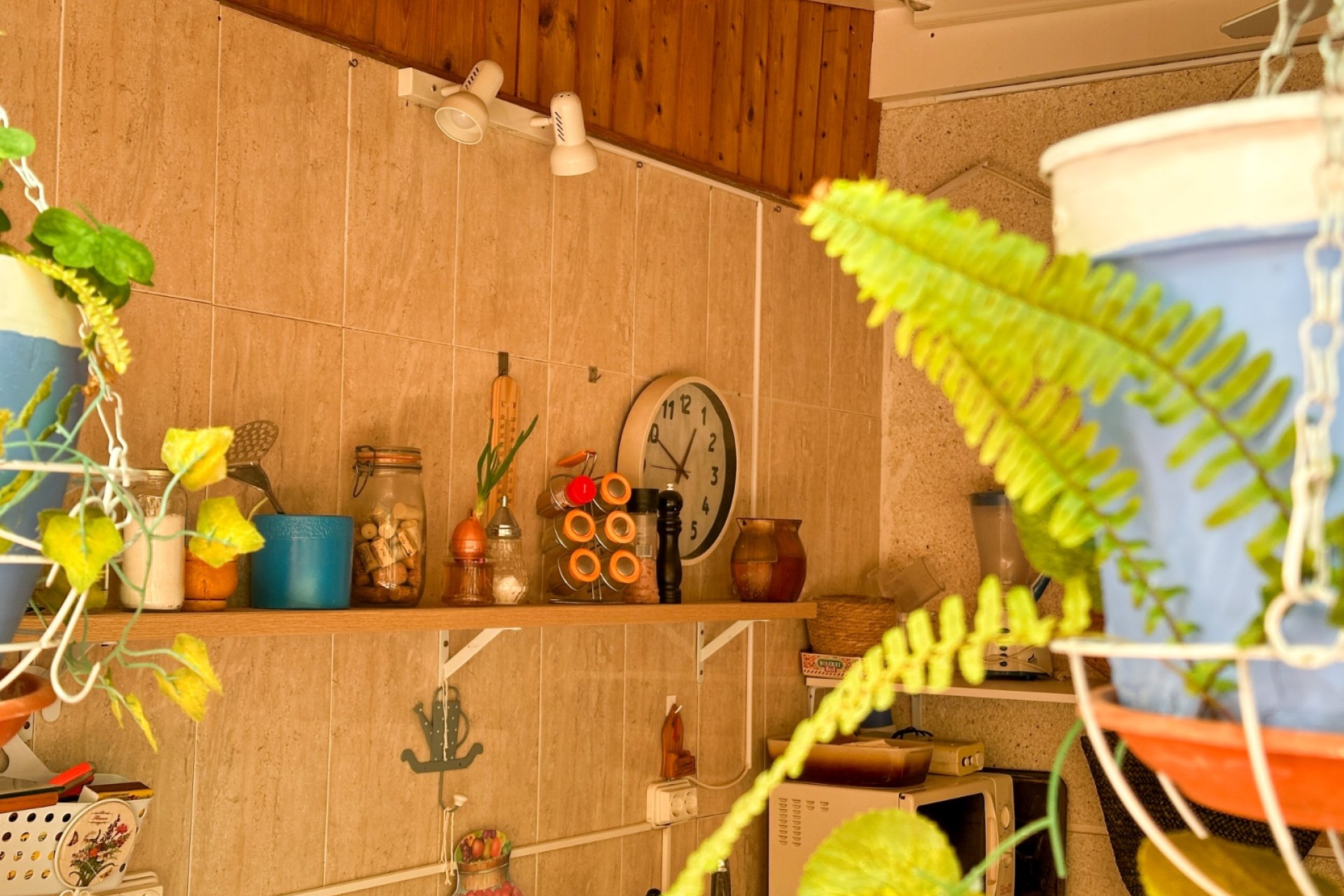 Gensalg - apartment -
Torrevieja - Center