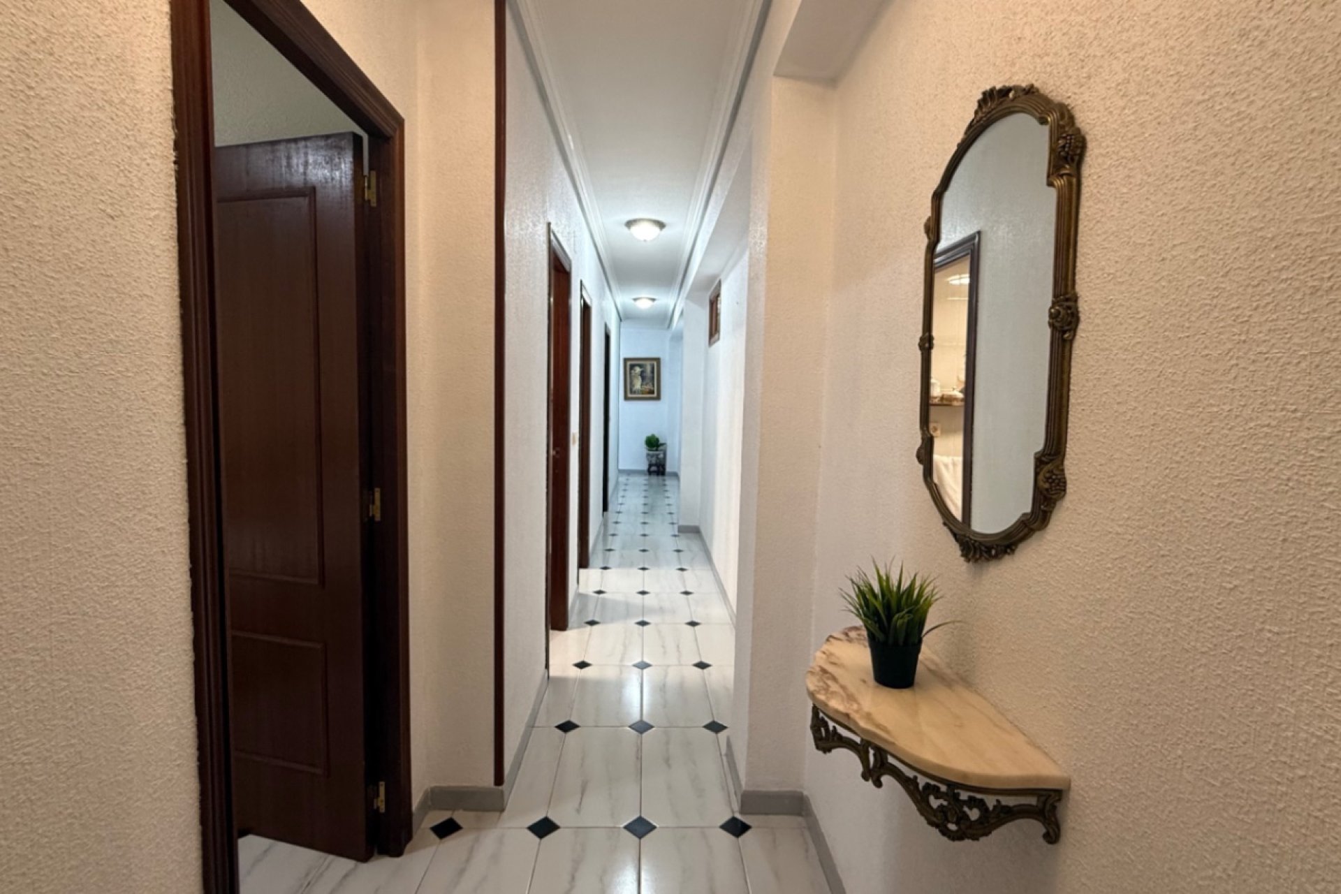Gensalg - apartment -
Torrevieja - Costa Blanca