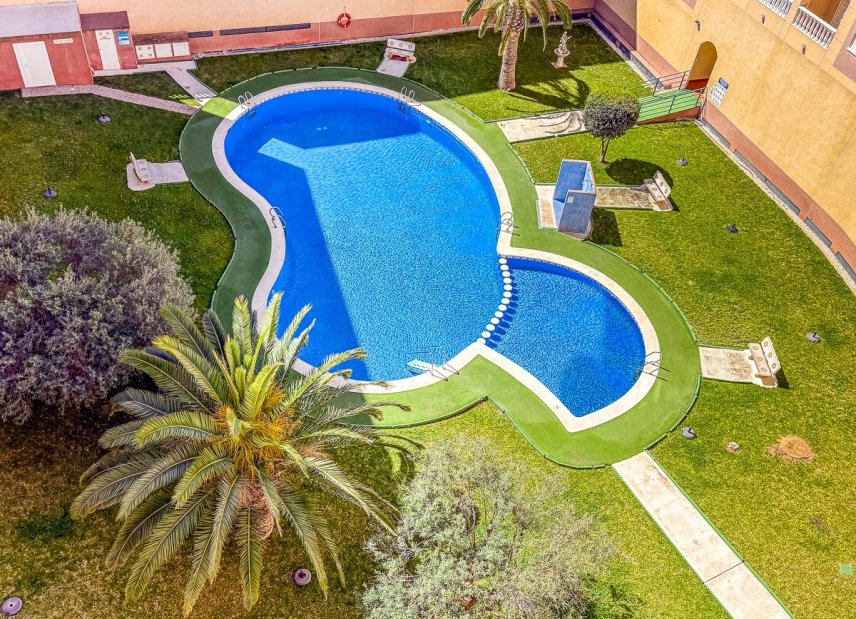 Gensalg - apartment -
Torrevieja - Parque de las Naciones