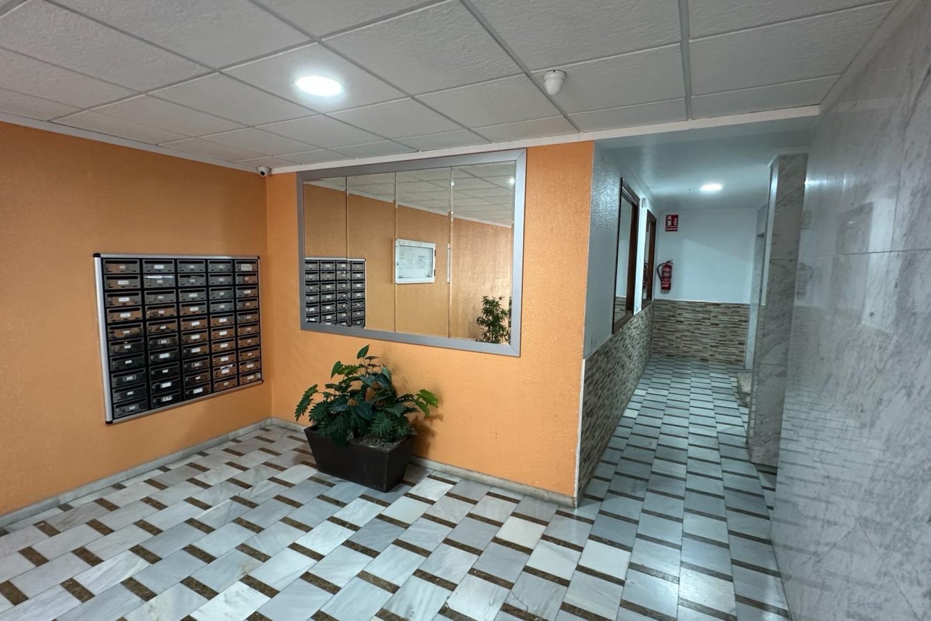 Gensalg - apartment -
Torrevieja - Playa Los Naufragos