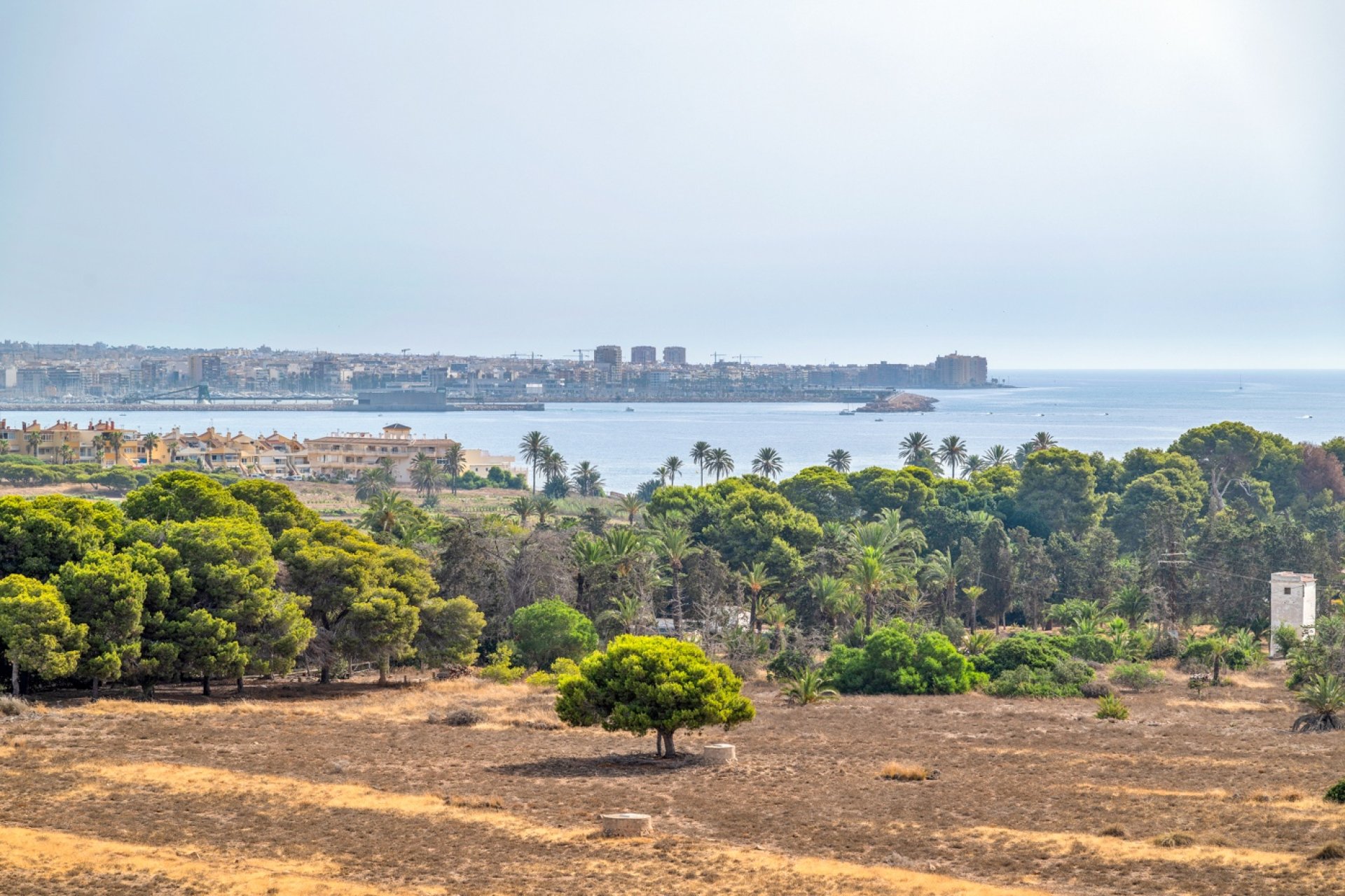 Gensalg - apartment -
Torrevieja - Punta Prima