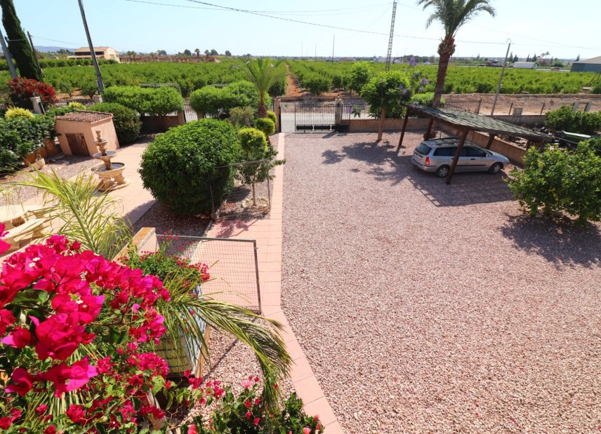 Gensalg - Country House -
Albatera - Albatera - Country