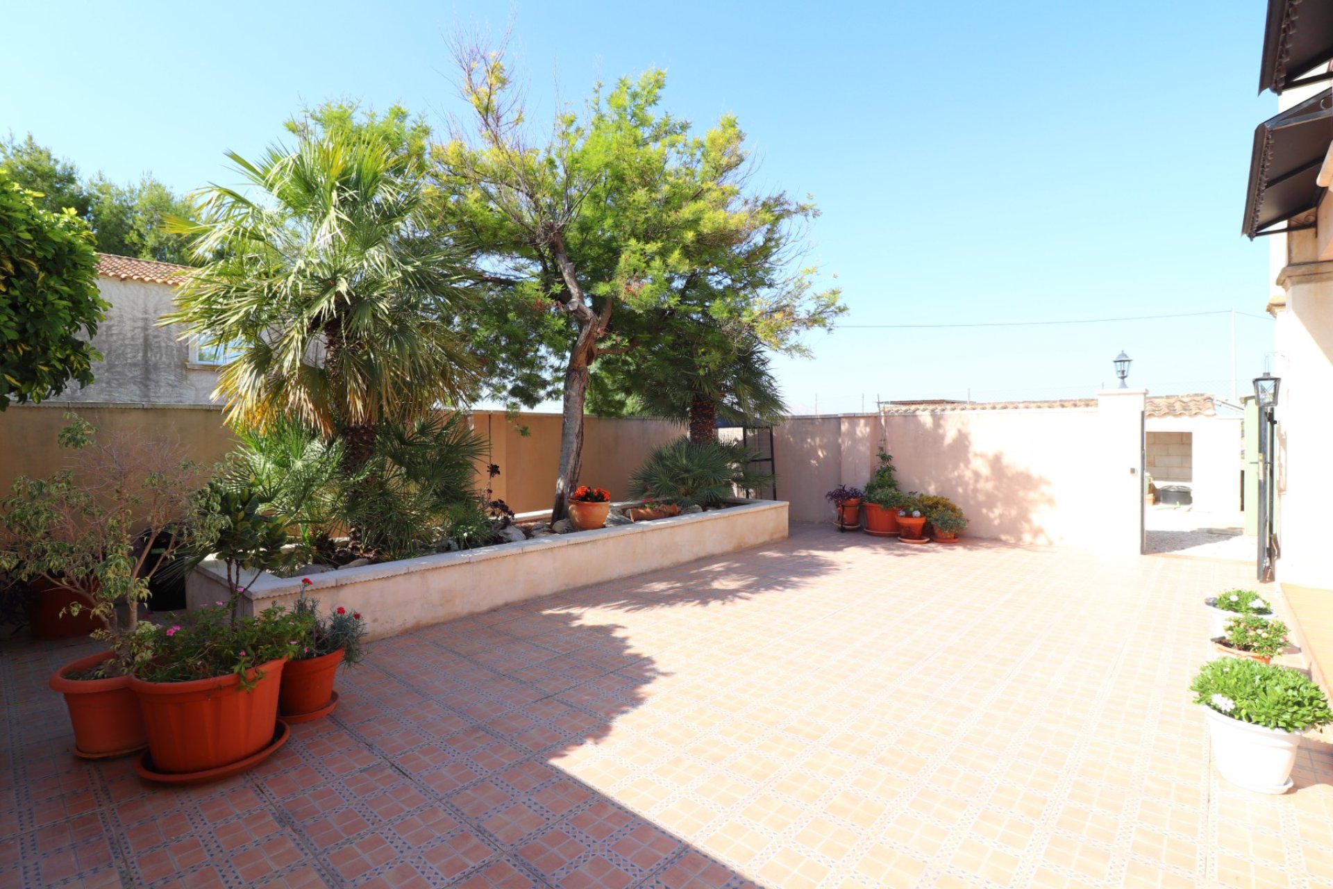 Gensalg - Country House -
Albatera - Albatera - Country