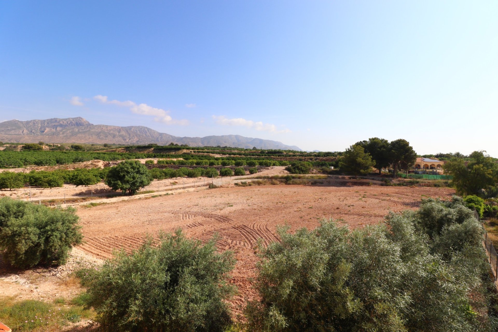 Gensalg - Country House -
Albatera - Albatera - Country