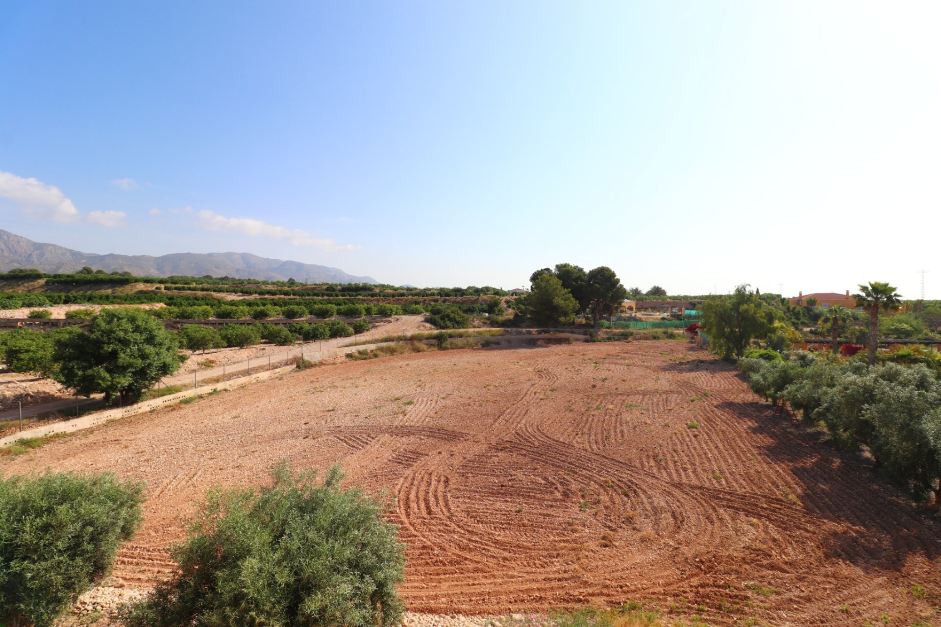 Gensalg - Country House -
Albatera - Albatera - Country