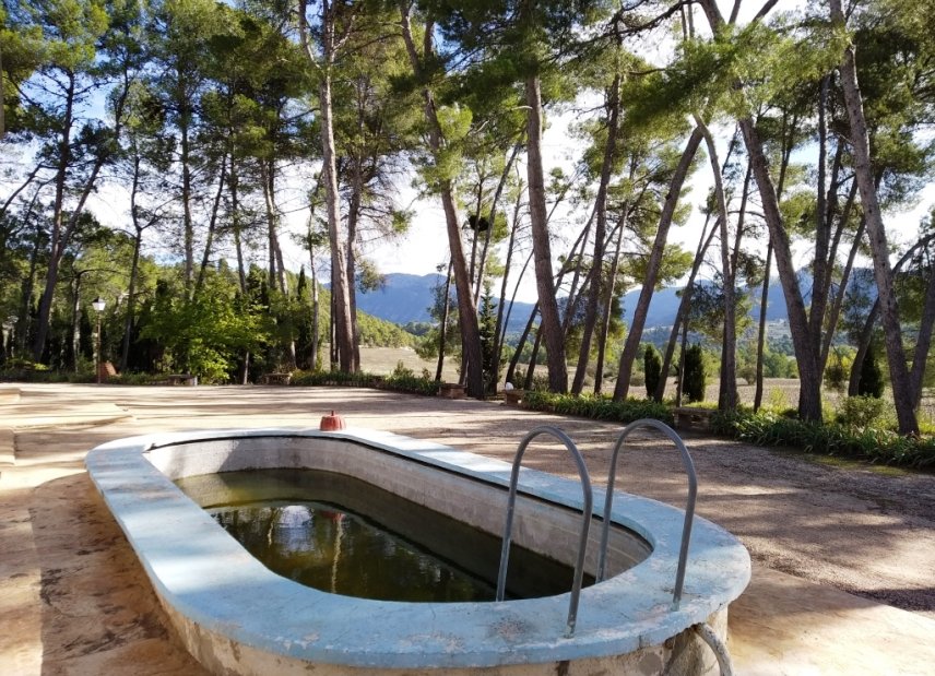 Gensalg - Country House -
Benilloba