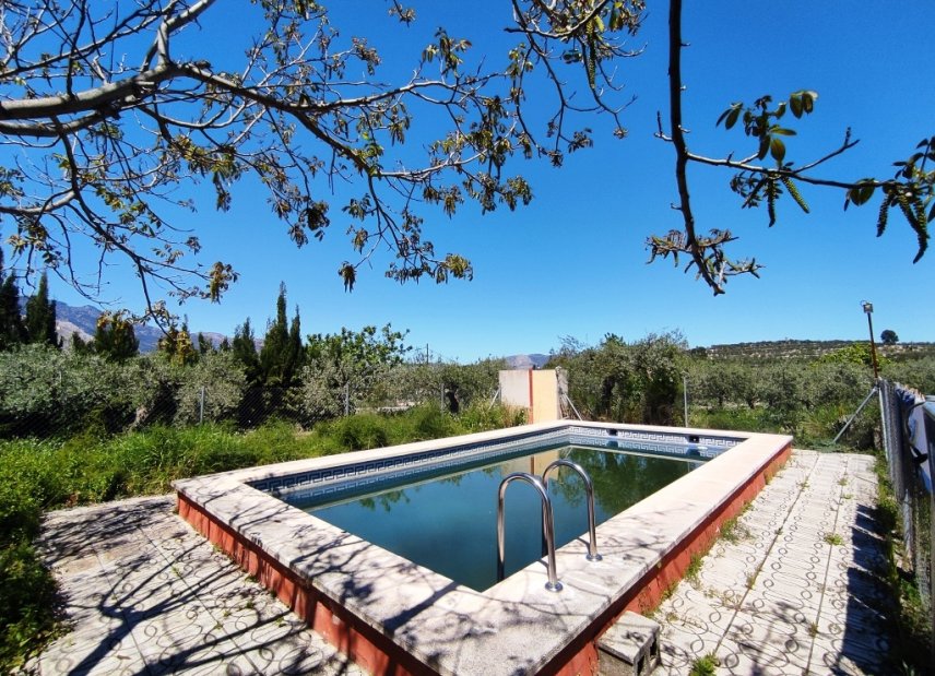 Gensalg - Country House -
Cocentaina