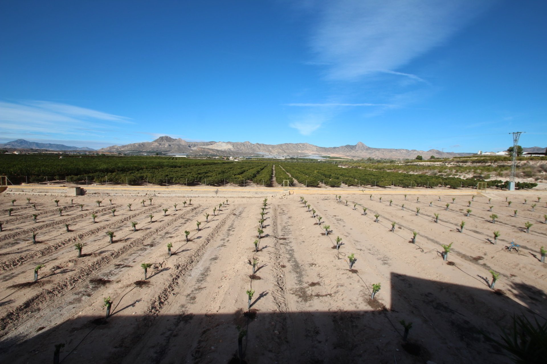 Gensalg - Country House -
Murcia - Costa Blanca