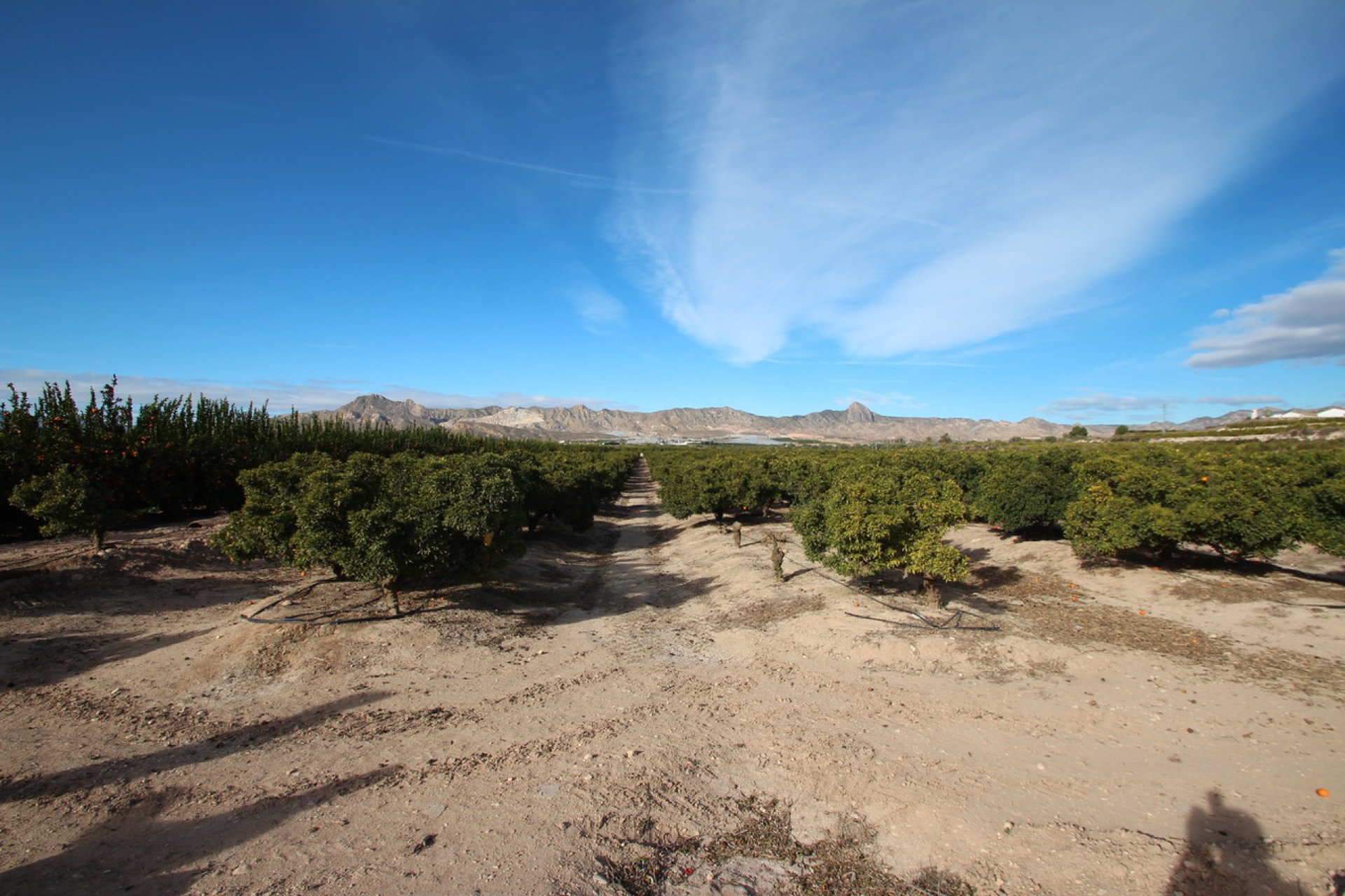 Gensalg - Country House -
Murcia - Costa Blanca
