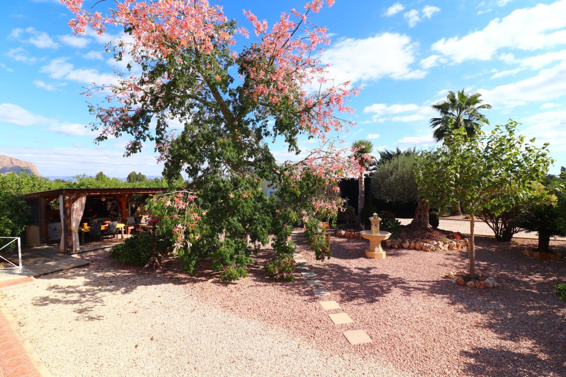 Gensalg - Country House -
Orihuela - La Campaneta
