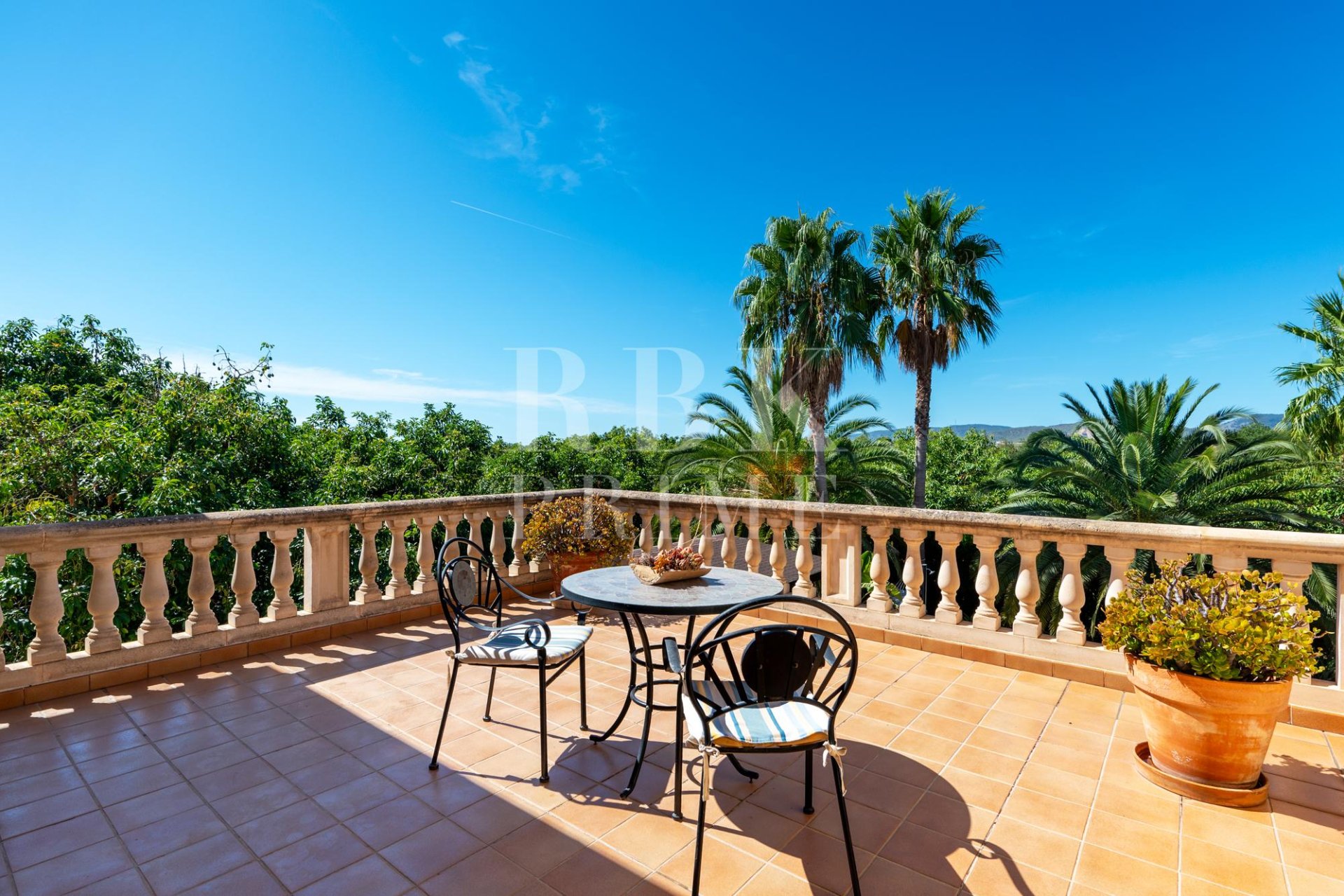 Gensalg - Country House -
Palma - Palma rural