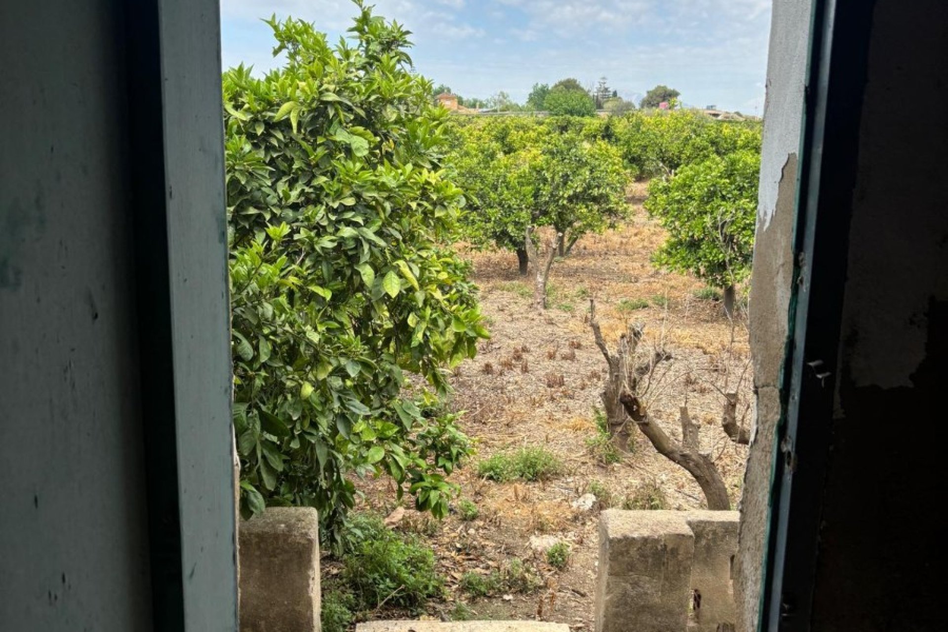 Gensalg - Country House -
Rojales - Ciudad Quesada