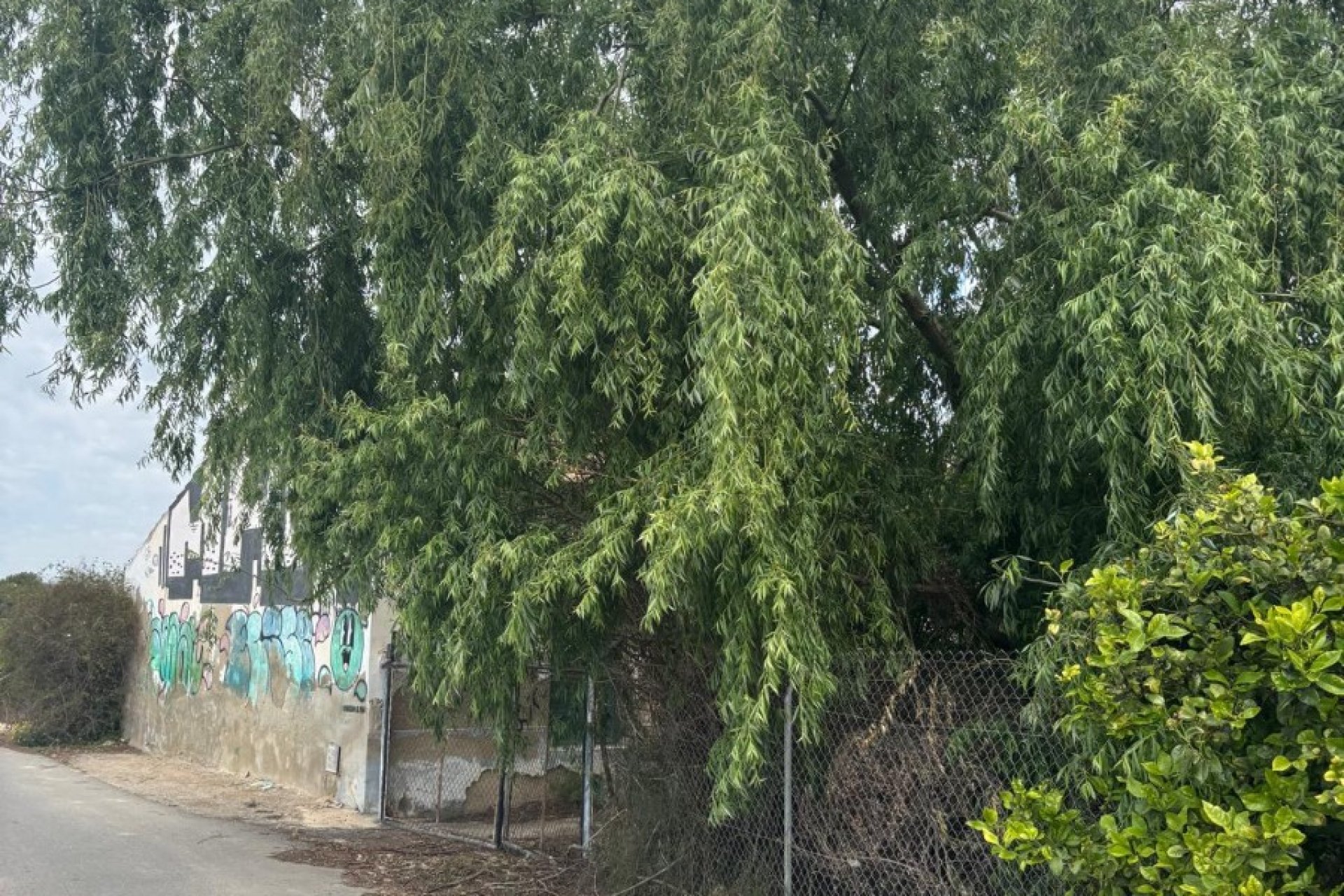 Gensalg - Country House -
Rojales - Ciudad Quesada
