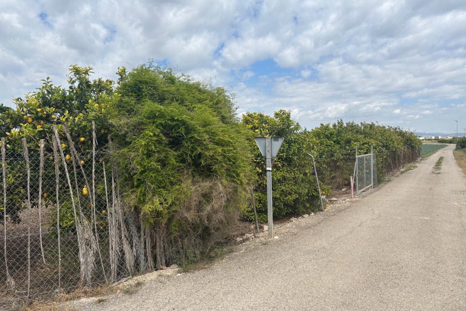 Gensalg - Country House -
Rojales - Ciudad Quesada