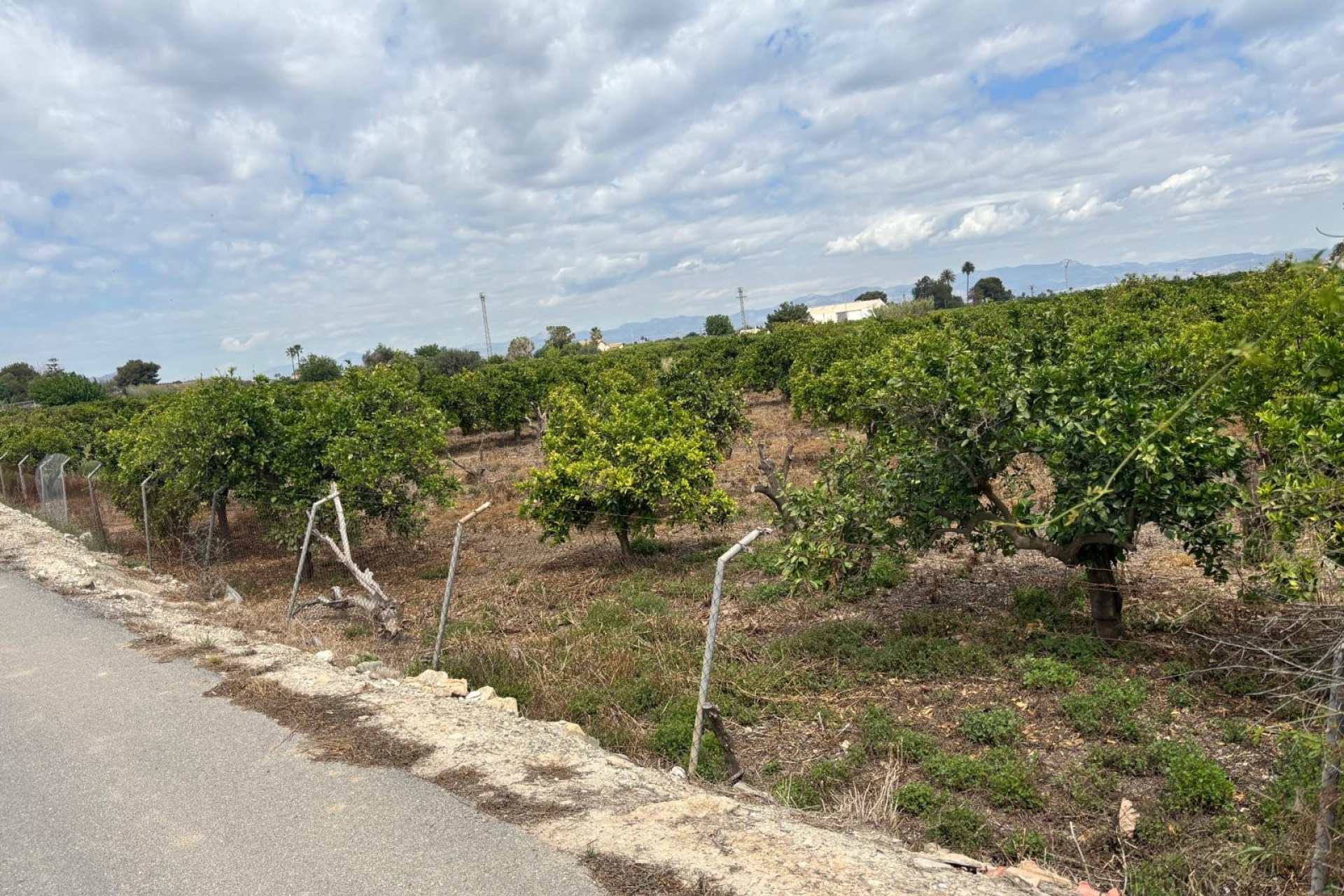 Gensalg - Country House -
Rojales - Ciudad Quesada