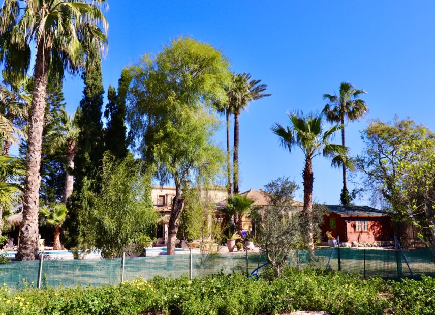 Gensalg - Country House -
Rojales - Heredades