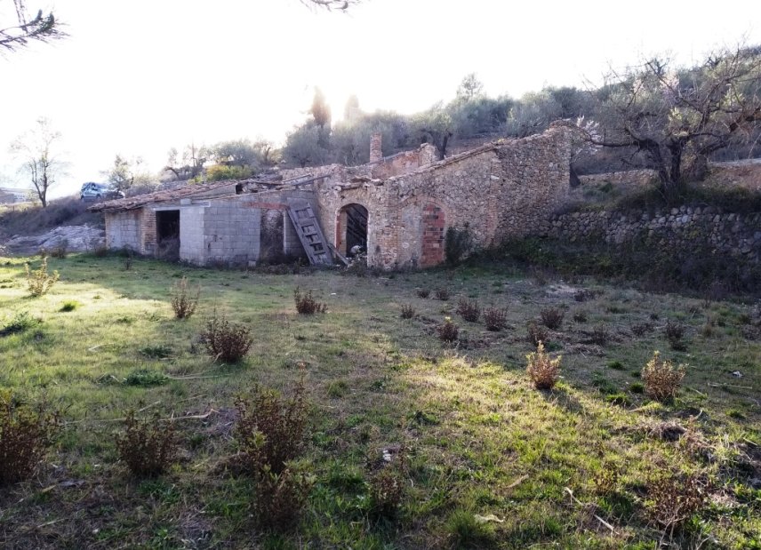 Gensalg - Country House -
Vall d'Alcalá - Vall D'Alcalá