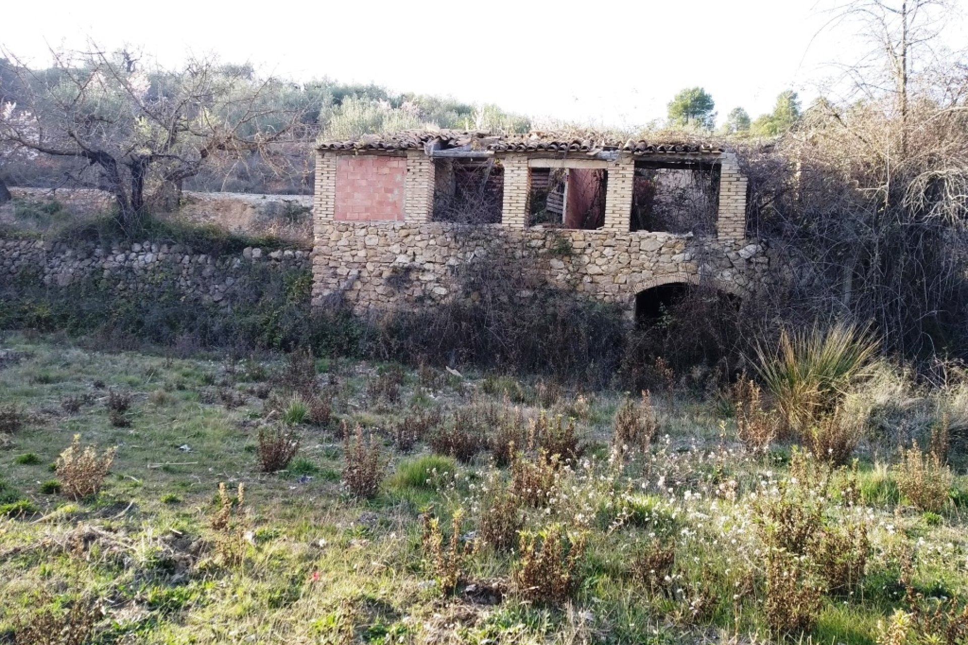 Gensalg - Country House -
Vall d'Alcalá - Vall D'Alcalá