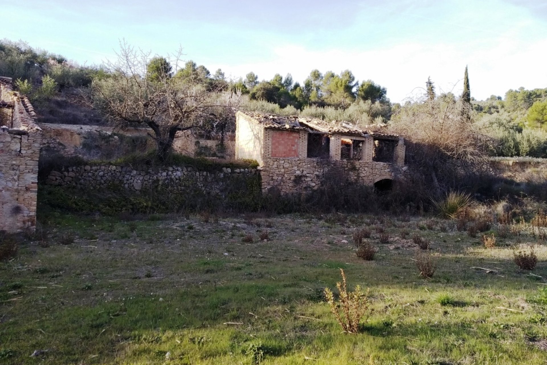 Gensalg - Country House -
Vall d'Alcalá - Vall D'Alcalá