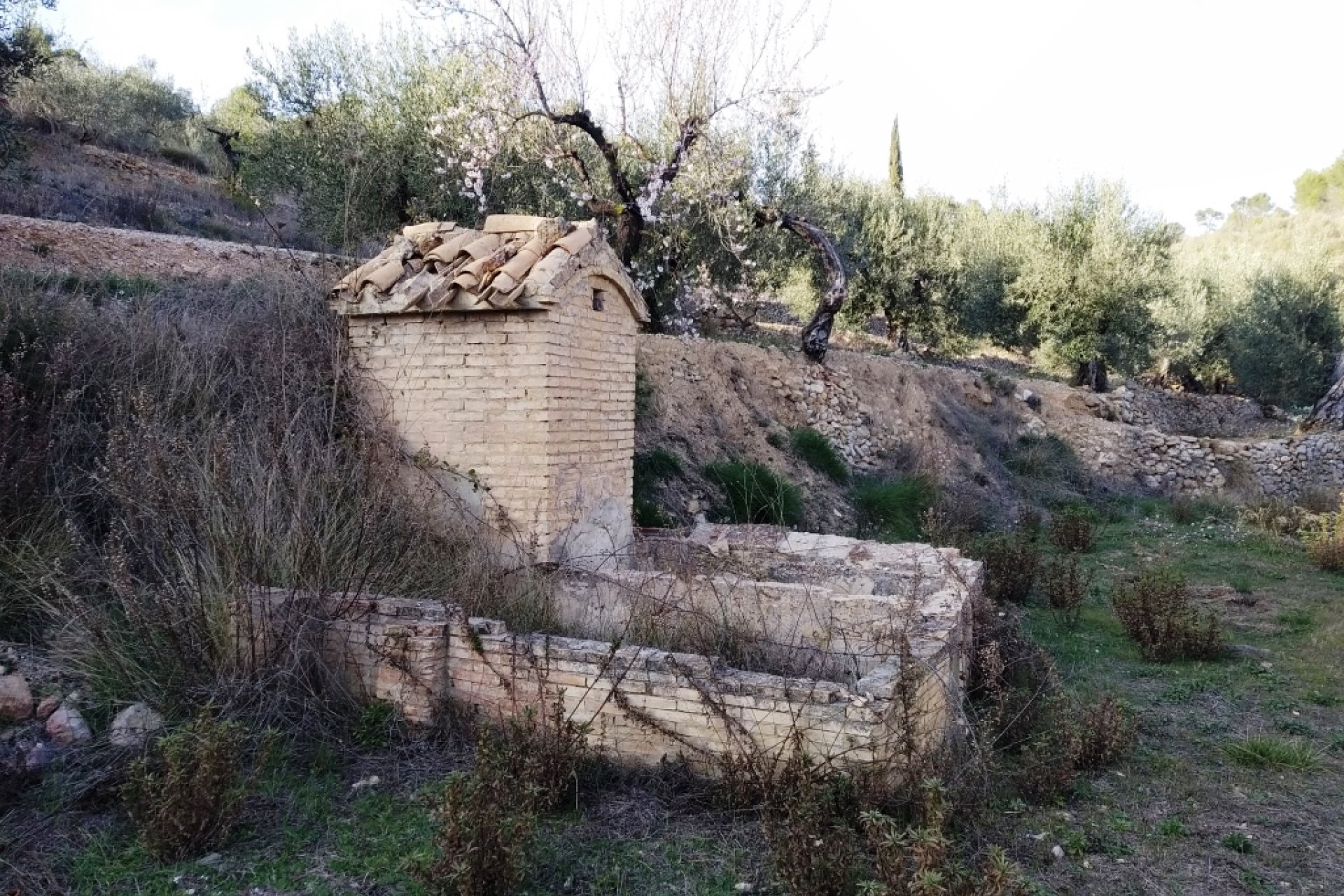 Gensalg - Country House -
Vall d'Alcalá - Vall D'Alcalá