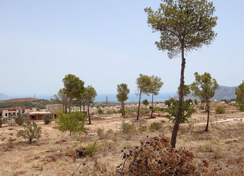 Gensalg - Kommerciel -
Benidorm
