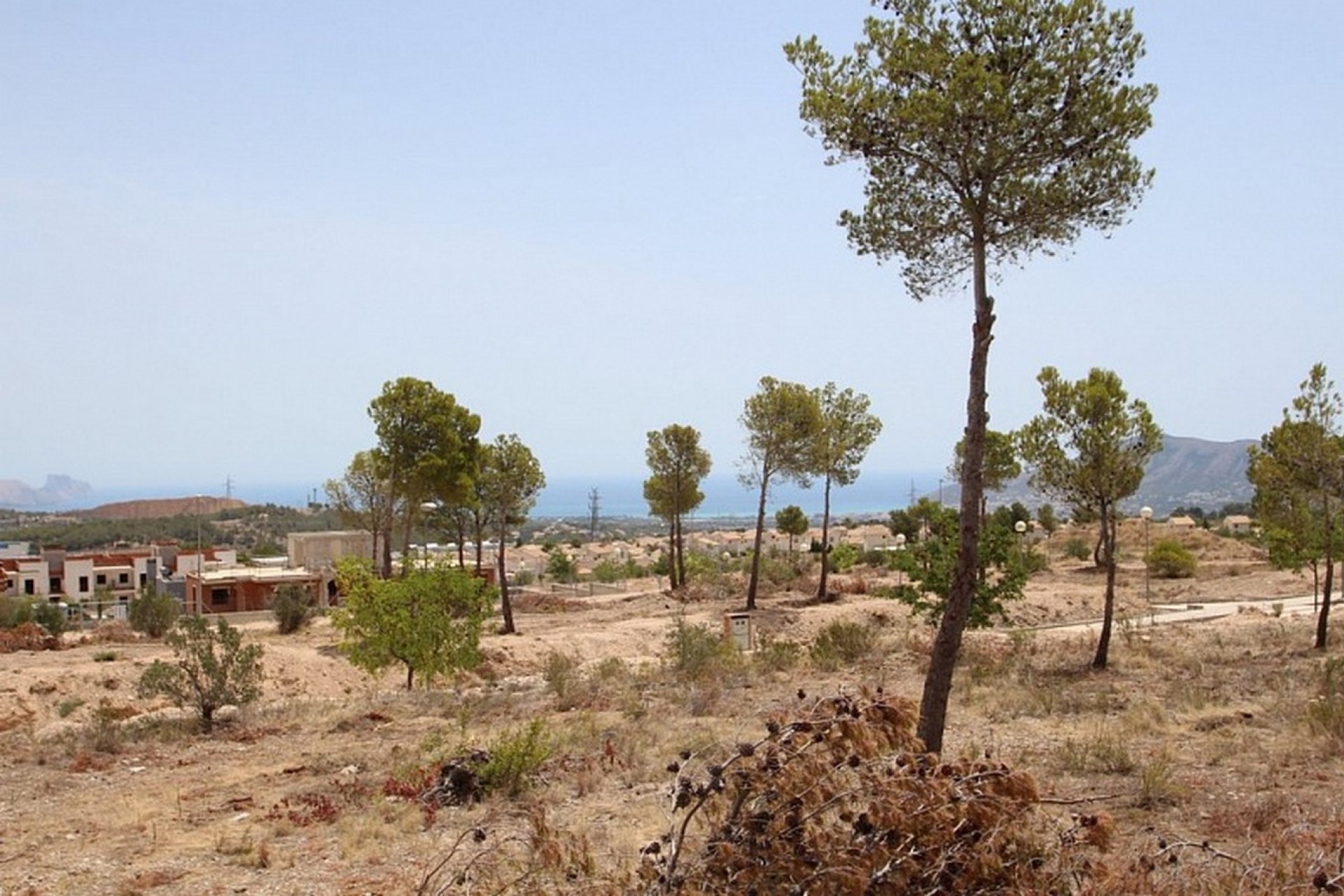 Gensalg - Kommerciel -
Benidorm